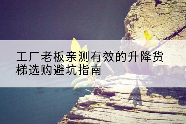 镇安升降货梯怎么选-工厂老板亲测有效的升降货梯选购避坑指南