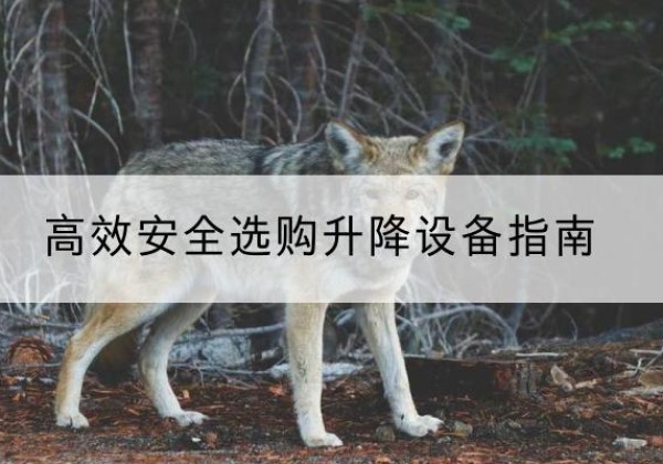 镇安升降货梯厂家推荐-*安全选购升降设备指南