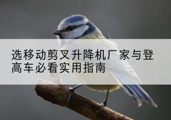 镇安电动升降机厂家-选移动剪叉升降机厂家与登高车必看实用指南