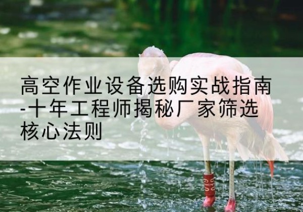 镇安剪叉式升降机厂家-高空作业设备选购实战指南-十年工程师揭秘厂家筛选核心法则