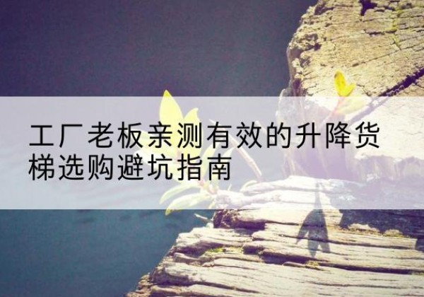 镇安升降货梯怎么选-工厂老板亲测有效的升降货梯选购避坑指南